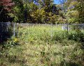 Cemetery-08