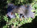 Cemetery-12