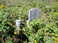 Cemetery-13